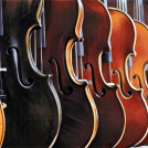 Violins